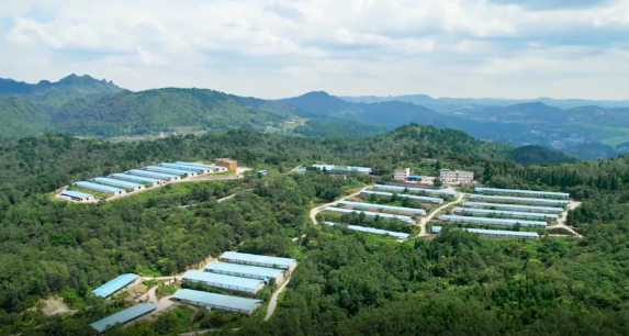 1702979840617376.png 62.png